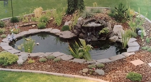 Water garden fountain koi pond - water,